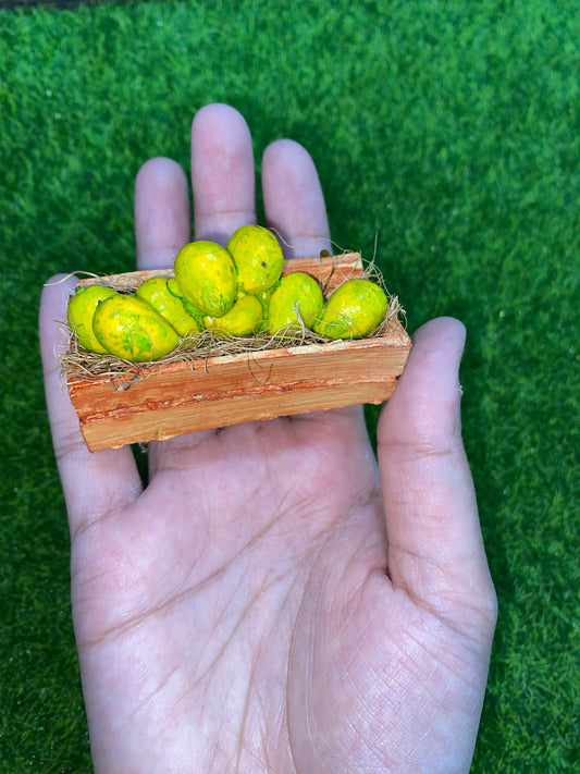 Mango tray fridge magnet