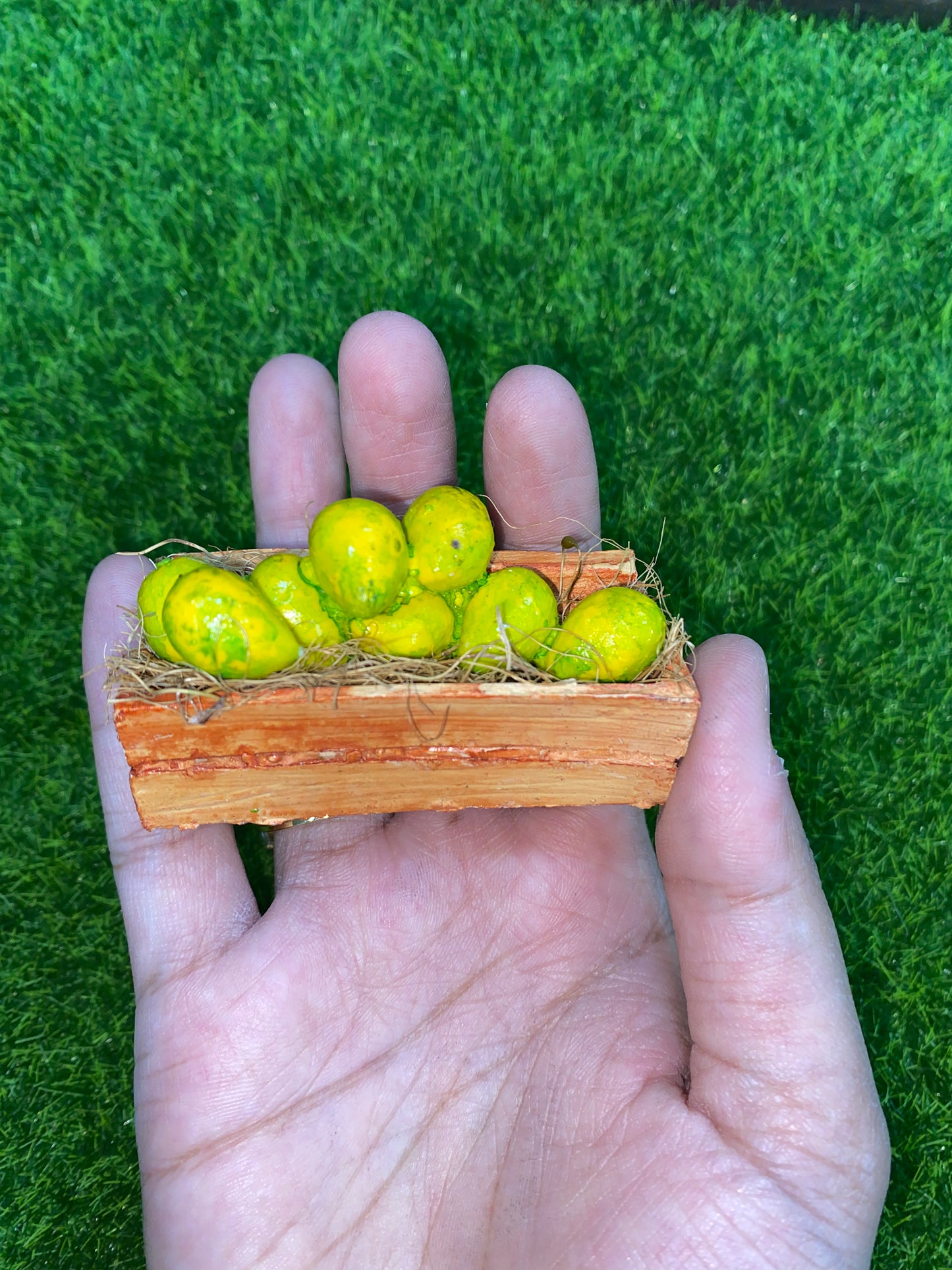 Mango tray fridge magnet